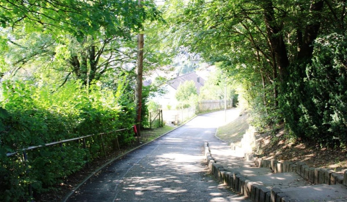 Ein schattiger Weg mit Bäumen und Sträuchern an den Seiten, der zu einem Haus führt. Sonnenlicht fällt durch das Blätterdach., © Natur.Nah. Schönbuch & Heckengäu Ein schattiger Weg mit Bäumen und Sträuchern an den Seiten, der zu einem Haus führt. Sonnenlicht fällt durch das Blätterdach., © Natur.Nah. Schönbuch & Heckengäu