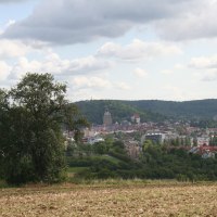 Ein Baum steht auf einem Feld im Vordergrund, dahinter eine Stadt mit roten Dächern und Hügeln im Hintergrund unter bewölktem Himmel., © Natur.Nah. Schönbuch & Heckengäu