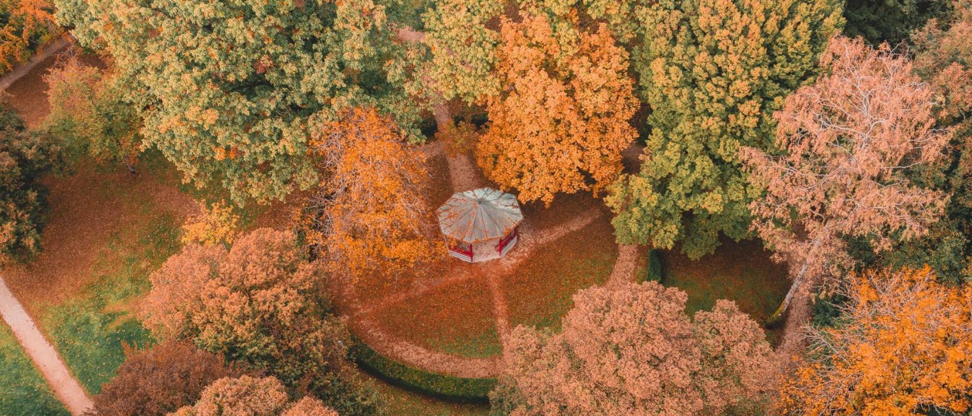 Luftaufnahme eines herbstlichen Stadtparks mit bunten B&auml;umen und einem Pavillon in der Mitte. Die Wege sind von Laub bedeckt., &copy; Sandra Bihlmaier - Stadt Welzheim
