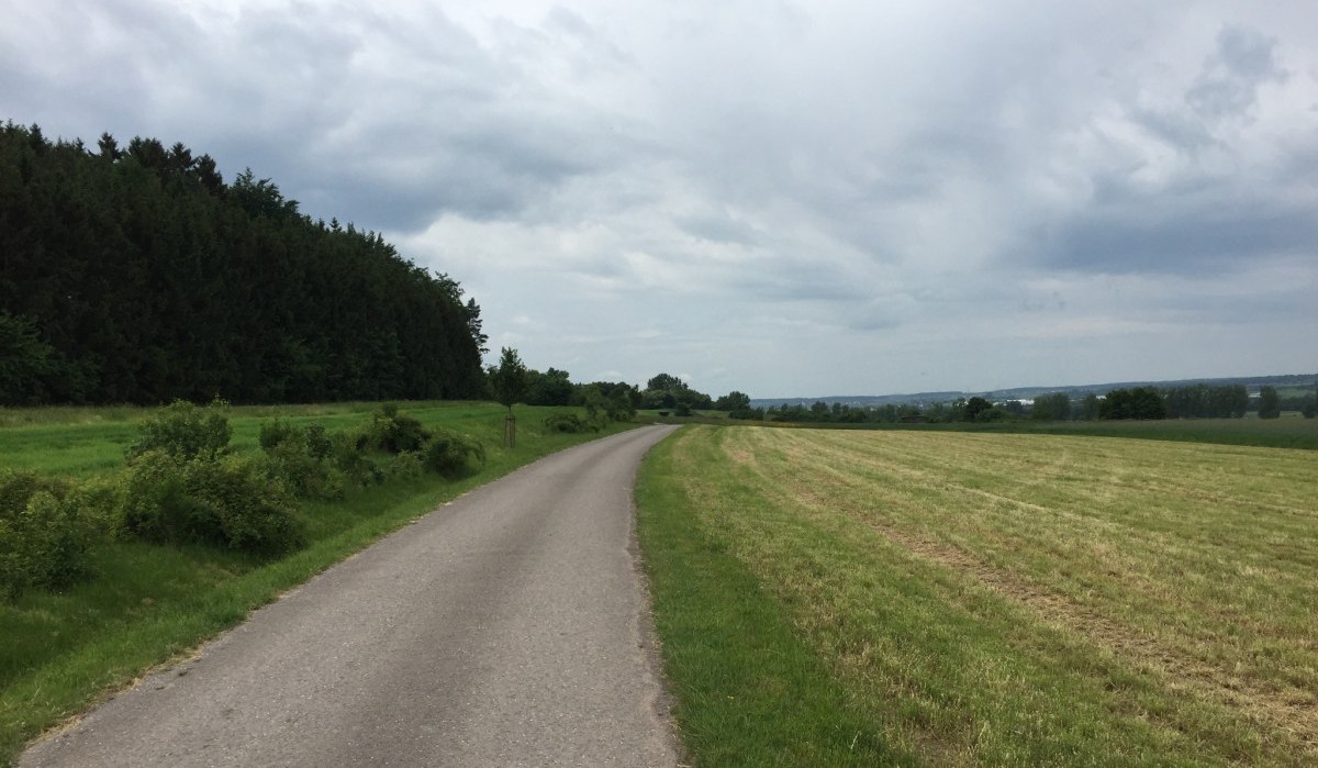 Ein schmaler Weg schl&auml;ngelt sich durch gr&uuml;ne Felder und entlang eines Waldes unter einem bew&ouml;lkten Himmel., &copy; www.pro-cycl.de