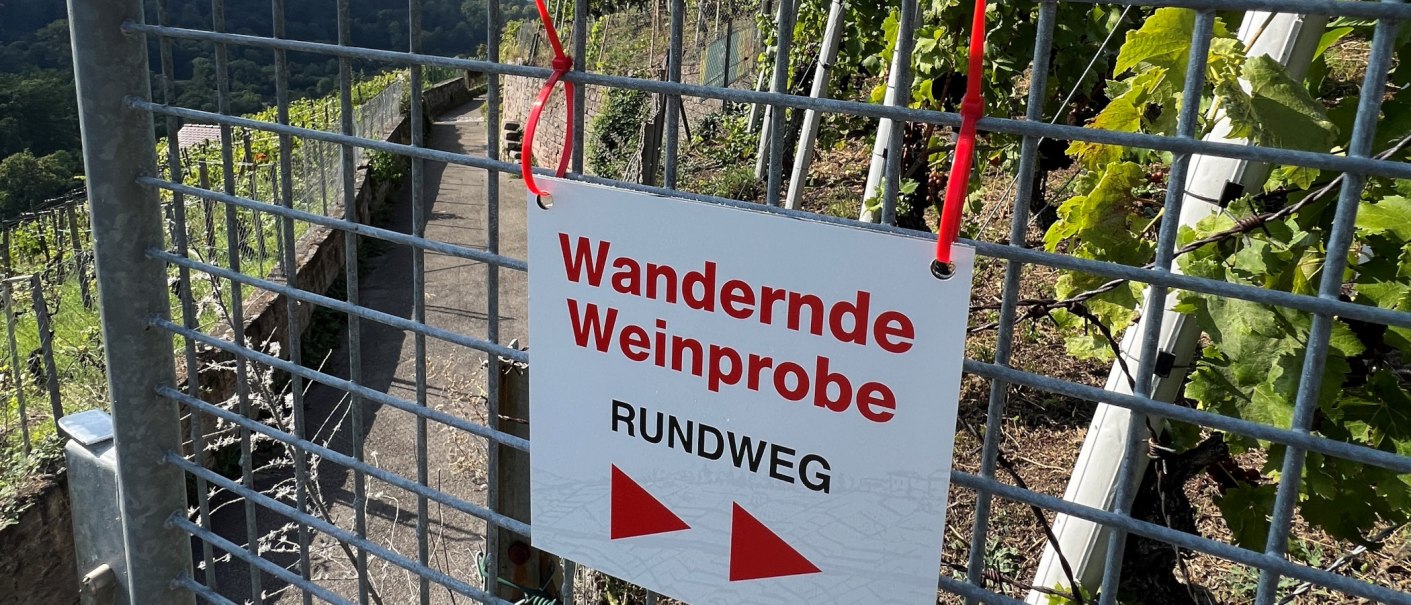 Schild mit der Aufschrift 'Wandernde Weinprobe Rundweg' an einem Gitterzaun vor Weinreben., &copy; Frank Nonnenmann