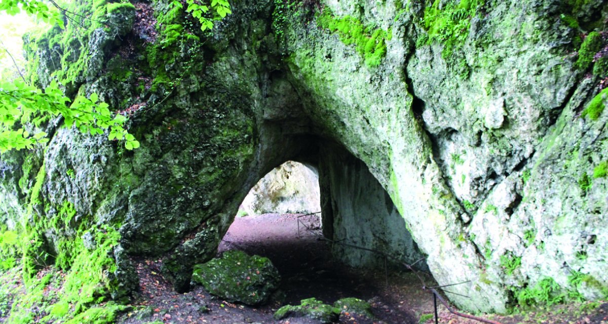 Moosbewachsene Höhle mit drei Eingängen, umgeben von grünem Laub und Felsen. Ein schmaler Pfad führt hindurch., © Foto: Volker Rösner Moosbewachsene Höhle mit drei Eingängen, umgeben von grünem Laub und Felsen. Ein schmaler Pfad führt hindurch., © Foto: Volker Rösner