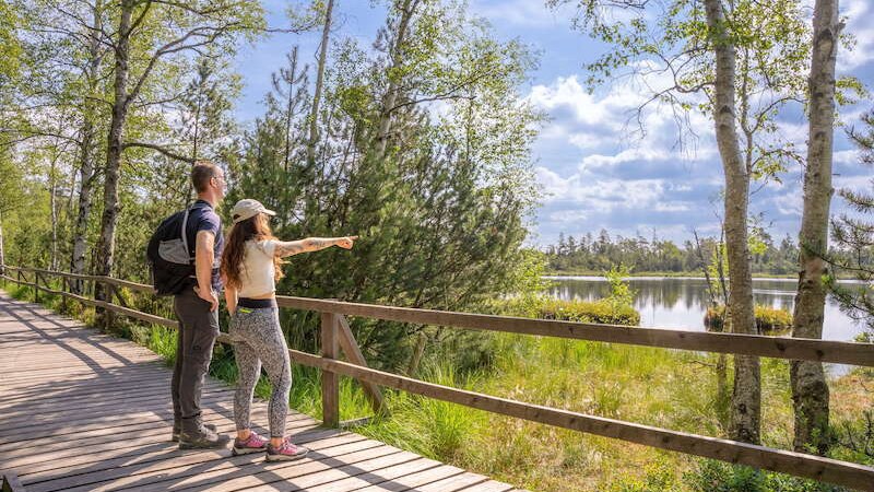 2. Globetrotter Wandertage Schwarzwald: Wanderung "Das Wildseemoor und seine Geheimnisse", © Touristik Bad Wildbad GmbH