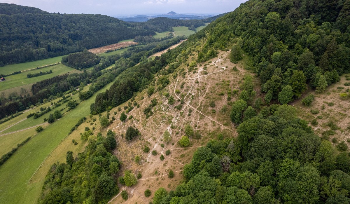 Luftaufnahme eines bewaldeten Hügels mit Wanderwegen. Im Vordergrund grüne Felder, im Hintergrund weitere Hügel und Wälder., © Foto Thomas Zehnder