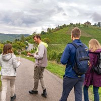 Menschen wandern auf einem Weinweg, halten Weingläser. Im Hintergrund Weinberge und die Grabkapelle auf einem Hügel., © Stuttgart-Marketing GmbH, Martina Denker Menschen wandern auf einem Weinweg, halten Weingläser. Im Hintergrund Weinberge und die Grabkapelle auf einem Hügel., © Stuttgart-Marketing GmbH, Martina Denker
