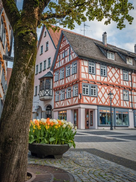 Fachwerk in Backnang, &copy; Ren&eacute; Straube