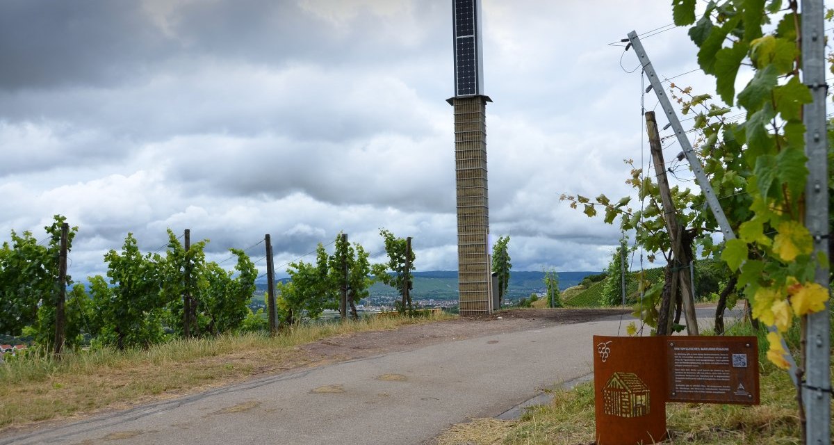 Ein Weg durch Weinberge mit einer hohen Solars&auml;ule und einer Infotafel. Der Himmel ist bew&ouml;lkt, und die Landschaft ist gr&uuml;n und h&uuml;gelig., &copy; Remstal Tourismus e.V.