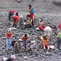 Schieferbruch Krohmer, © Urweltmuseum Hauff Schieferbruch Krohmer, © Urweltmuseum Hauff