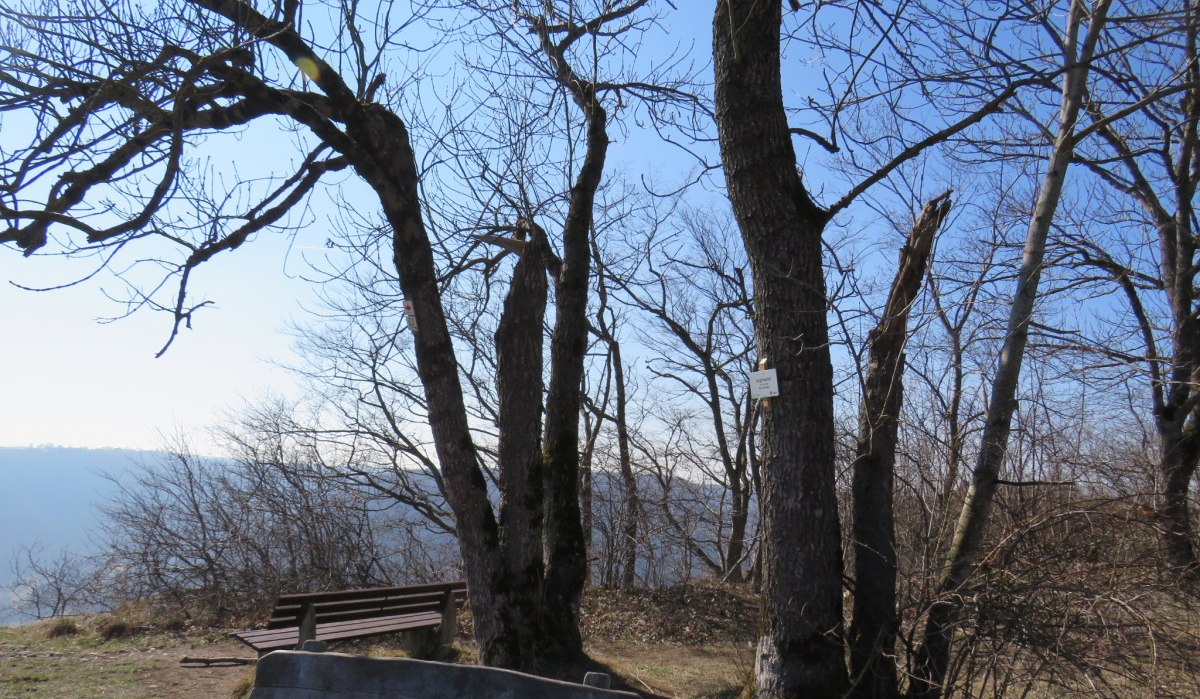 Zwei Bänke stehen unter kahlen Bäumen auf einem Hügel. Der Himmel ist klar und blau, die Aussicht weitreichend., © Landkreis Göppingen Zwei Bänke stehen unter kahlen Bäumen auf einem Hügel. Der Himmel ist klar und blau, die Aussicht weitreichend., © Landkreis Göppingen