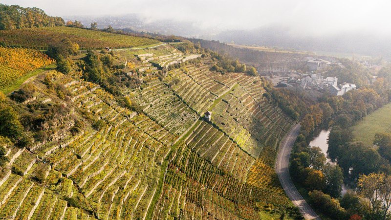 Luftaufnahme von terrassierten Weinbergen in Vaihingen an der Enz. Die Landschaft ist herbstlich gef&auml;rbt, mit einem Fluss und Geb&auml;uden im Hintergrund., &copy; Stuttgart-Marketing GmbH, Sarah Schmid