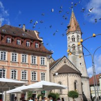 Historische Gebäude mit einem Kirchturm im Hintergrund, Tauben fliegen am blauen Himmel. Menschen sitzen unter Sonnenschirmen., © Touristik und Marketing GmbH
