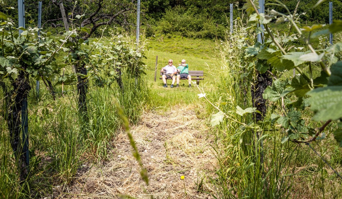 Zwei Personen sitzen auf einer Bank zwischen Weinreben in den Beurener Weinbergen. Die Umgebung ist grün und ländlich., © hochgehberge