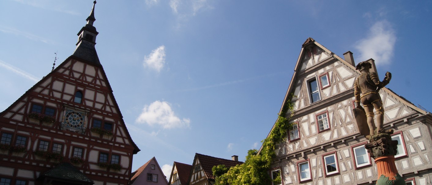 Fachwerkhäuser und eine Statue auf dem Marktplatz in Besigheim unter blauem Himmel., © Stuttgart-Marketing GmbH (SMG)