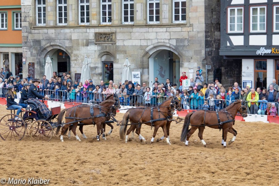Eine Pferdekutsche mit vier Pferden zieht an einer Menschenmenge vorbei. Die Veranstaltung findet vor einem historischen Geb&auml;ude statt., &copy; F&uuml;r die Bildrechte: Amt f&uuml;r Medien und Kommunikation Schw&auml;bisch Gm&uuml;nd