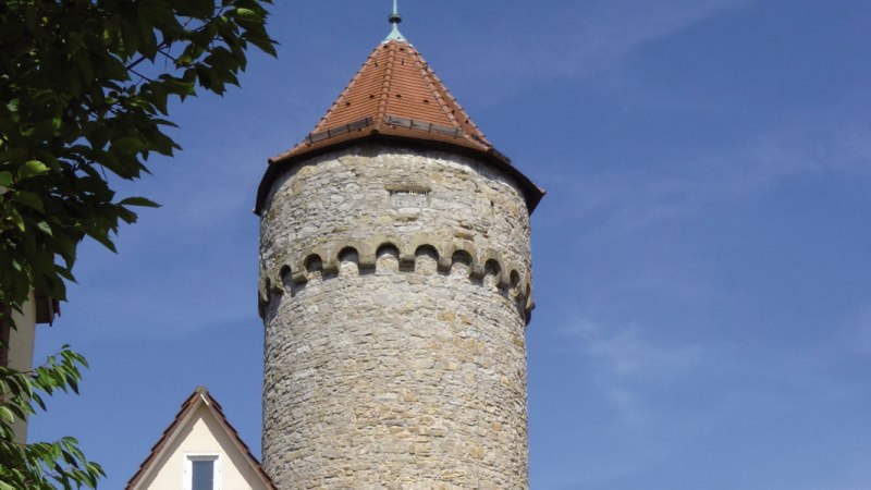 Der Haspelturm in Vaihingen an der Enz mit rundem Steinturm und spitzem Dach, umgeben von Bäumen, vor blauem Himmel., © Stadt Vaihingen an der Enz