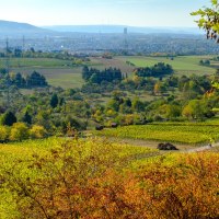 Ausblick vom Sörenberg, © WTM GmbH Waiblingen