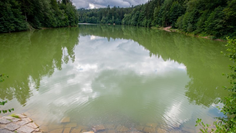Der Herrenbachstausee mit grünem Wasser, umgeben von dichtem Wald. Der Himmel ist bewölkt und spiegelt sich im Wasser., © Stadt Schorndorf