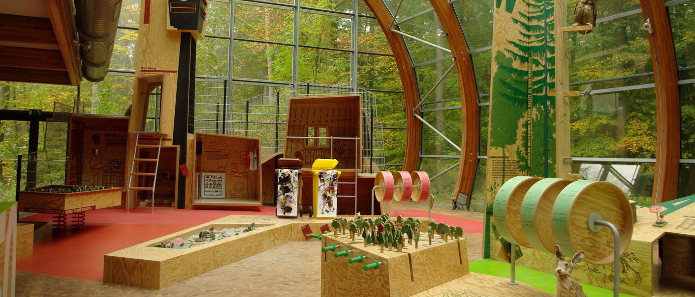 Innenansicht der Ausstellung im Haus des Waldes mit Holzinstallationen, Modellen und Waldmotiven. Große Fenster bieten Blick auf den Wald., © Haus des Waldes