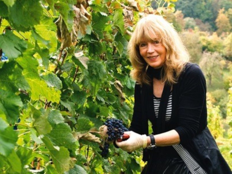 Eine Frau mit blonden Haaren erntet Trauben in einem grünen Weinberg. Sie trägt Handschuhe und lächelt in die Kamera., © Elsbeth Koch Eine Frau mit blonden Haaren erntet Trauben in einem grünen Weinberg. Sie trägt Handschuhe und lächelt in die Kamera., © Elsbeth Koch