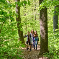 Drei Personen wandern auf einem schmalen Waldweg, umgeben von dichtem, grünem Laub. Die Sonne scheint durch die Bäume., © Stadtverwaltung Winnenden