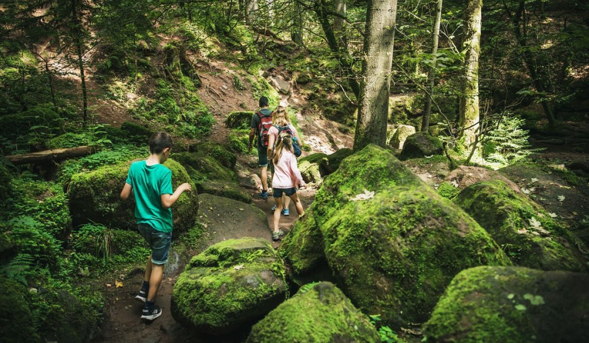 Unterwegs durch das Monbachtal, © Freizeit & Tourismus Bad Liebenzell GmbH Unterwegs durch das Monbachtal, © Freizeit & Tourismus Bad Liebenzell GmbH