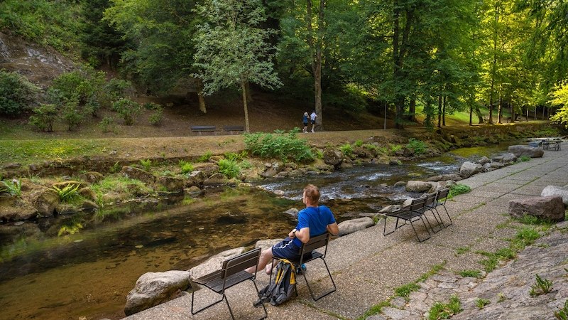 2. Globetrotter Wandertage Schwarzwald: Gesundheitswanderung im Kurpark von Bad Wildbad, © Touristik Bad Wildbad GmbH
