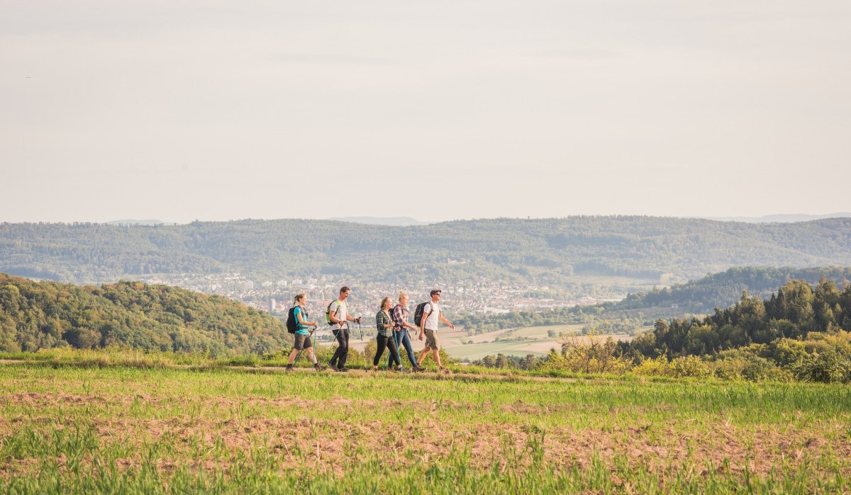 F&uuml;nf Wanderer auf einem H&ouml;henweg mit Blick auf eine weite, gr&uuml;ne Landschaft und H&uuml;gel im Hintergrund.