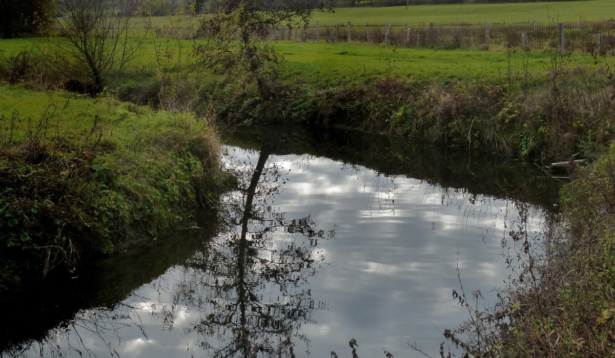 Ein ruhiger Fluss in einer gr&uuml;nen Landschaft mit einem Baum am Ufer und bewaldeten H&uuml;geln im Hintergrund. Der Himmel ist bew&ouml;lkt., &copy; Natur.Nah. Sch&ouml;nbuch & Heckeng&auml;u