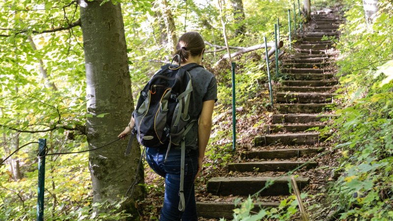 Eine Person mit Rucksack steigt eine steile, bewaldete Treppe hinauf. Die Umgebung ist grün und dicht bewachsen., © Foto Thomas Zehnder Eine Person mit Rucksack steigt eine steile, bewaldete Treppe hinauf. Die Umgebung ist grün und dicht bewachsen., © Foto Thomas Zehnder