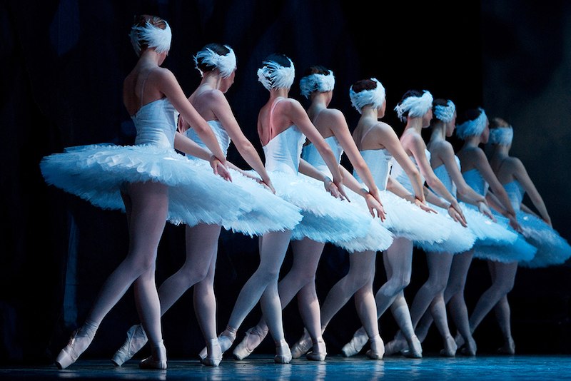 Balletttänzerinnen in weißen Tutus stehen in einer Reihe auf der Bühne, vermutlich bei einer Aufführung von Schwanensee., © Stadthalle Leonberg
