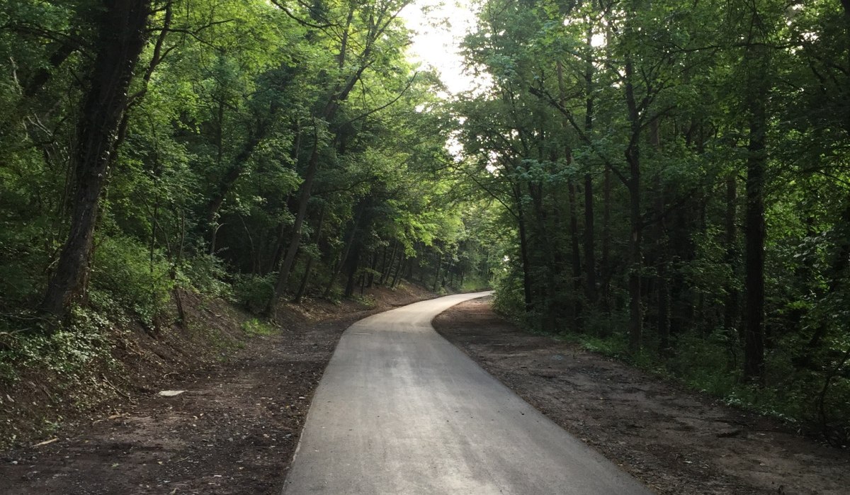 Ein asphaltierter Weg schl&auml;ngelt sich durch einen dichten, gr&uuml;nen Wald. Die B&auml;ume spenden Schatten und die Umgebung wirkt ruhig und einladend., &copy; www.pro-cycl.de