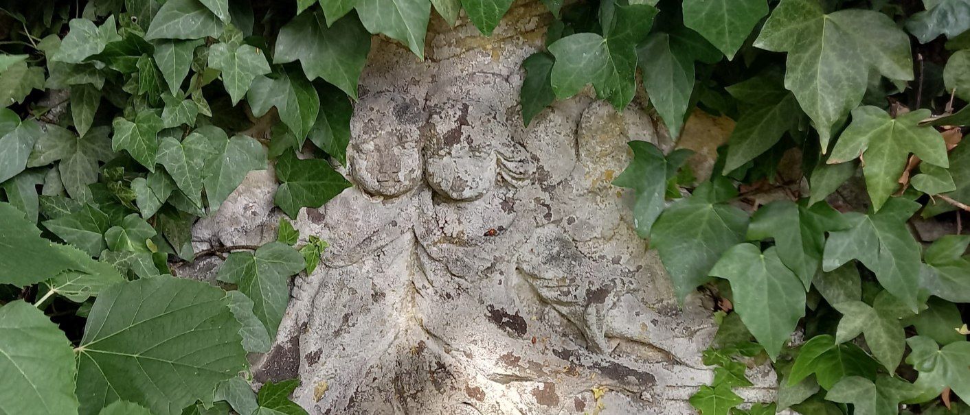 verwitterter Grabstein, teilweise von dichtem Efeu überwuchert. Das Relief zeigt zwei Kinder- oder Engelsfiguren., © Petra Natzkowski verwitterter Grabstein, teilweise von dichtem Efeu überwuchert. Das Relief zeigt zwei Kinder- oder Engelsfiguren., © Petra Natzkowski