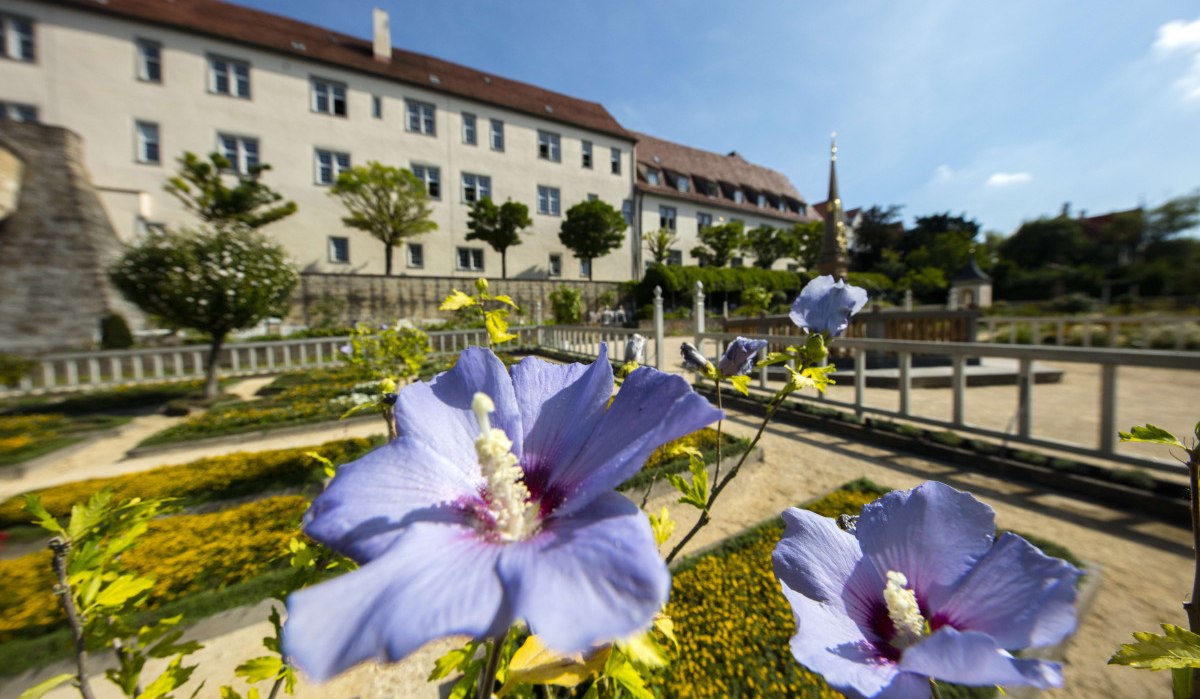 Blaue Blumen im Vordergrund, dahinter ein historisches Gebäude mit rotem Dach und Bäumen. Klarer Himmel und sonniges Wetter., © Stuttgart Marketing GmbH Achim Mende