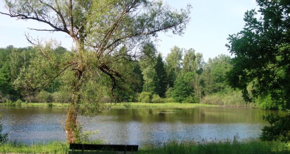 Ein ruhiger See mit einem Baum am Ufer, umgeben von üppigem Grün und Wald im Hintergrund., © Sindelfingen - Stuttgart-Marketing GmbH Ein ruhiger See mit einem Baum am Ufer, umgeben von üppigem Grün und Wald im Hintergrund., © Sindelfingen - Stuttgart-Marketing GmbH