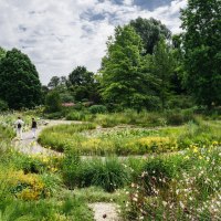 Üppiger Garten mit vielfältiger Vegetation und einem geschwungenen Weg. Zwei Personen spazieren, umgeben von Bäumen und Blumen., © HfWU, M. Stark