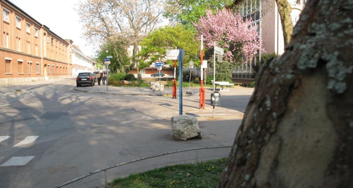Straßenszene mit blühenden Bäumen, einem Auto und Gebäuden. Ein Baumstamm im Vordergrund, blauer Himmel und Schatten auf der Straße., © Ludwigsburg - Stuttgart-Marketing GmbH Straßenszene mit blühenden Bäumen, einem Auto und Gebäuden. Ein Baumstamm im Vordergrund, blauer Himmel und Schatten auf der Straße., © Ludwigsburg - Stuttgart-Marketing GmbH