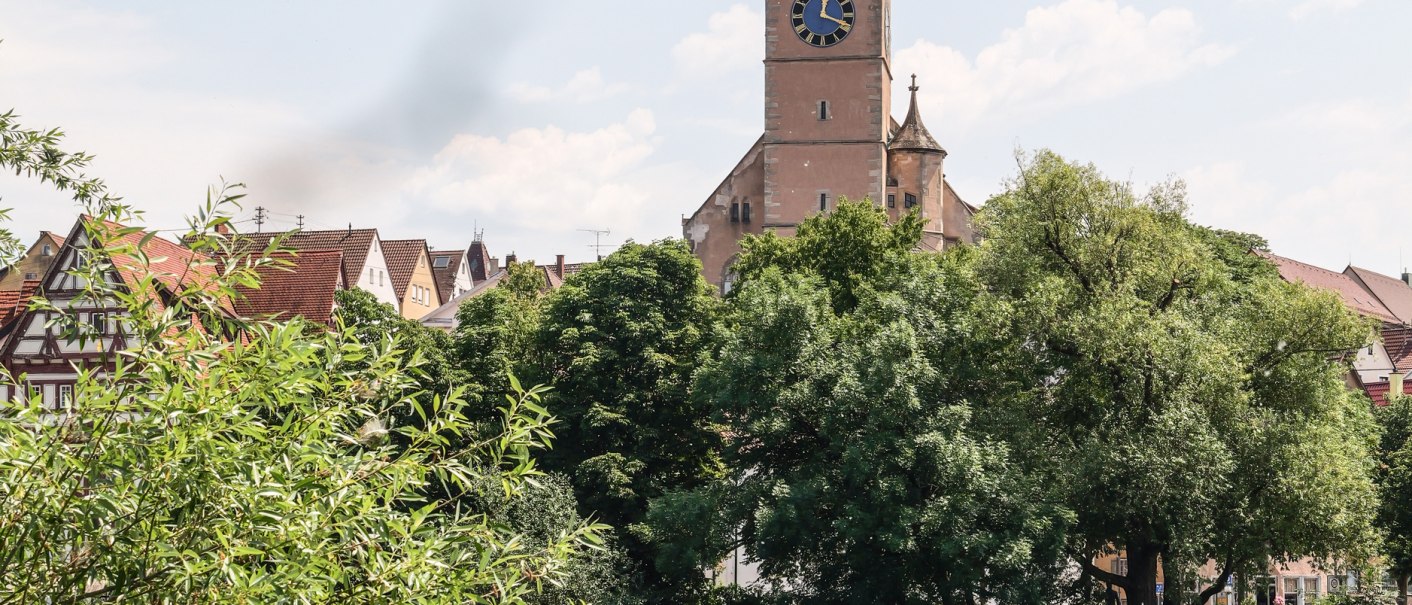 Ein Kirchturm erhebt sich über den Neckar, umgeben von Bäumen und Fachwerkhäusern. Im Vordergrund fließt der Fluss über ein Wehr., © Belsers Hotel Ein Kirchturm erhebt sich über den Neckar, umgeben von Bäumen und Fachwerkhäusern. Im Vordergrund fließt der Fluss über ein Wehr., © Belsers Hotel