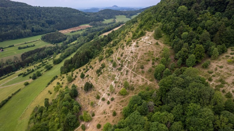 Luftaufnahme eines bewaldeten H&uuml;gels mit Wanderwegen. Im Vordergrund gr&uuml;ne Felder, im Hintergrund weitere H&uuml;gel und W&auml;lder., &copy; Foto Thomas Zehnder