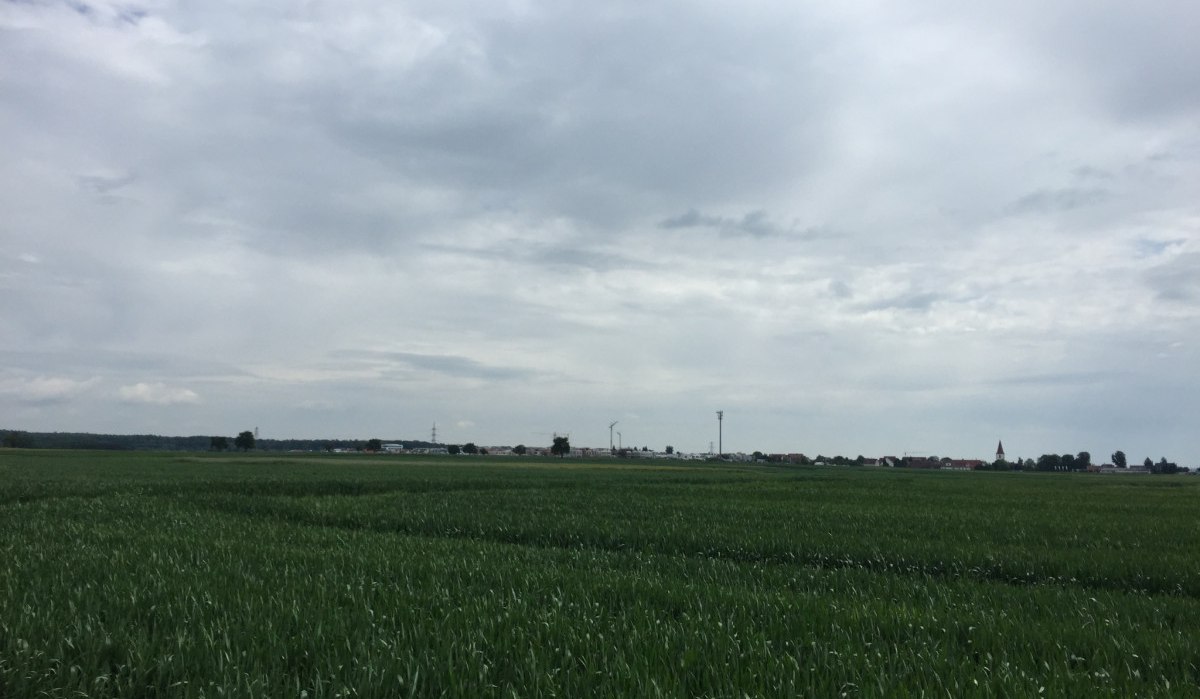 Weite grüne Felder erstrecken sich unter einem bewölkten Himmel, im Hintergrund ist eine Stadt mit Kirchturm zu sehen., © www.pro-cycl.de