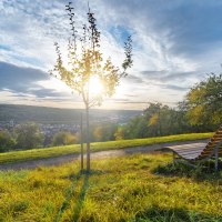 Sonnenuntergang über einer grünen Wiese mit Holzliege und jungem Baum, im Hintergrund eine Stadtlandschaft und bewaldete Hügel., © Martina Denker Stuttgart Marketing GmbH