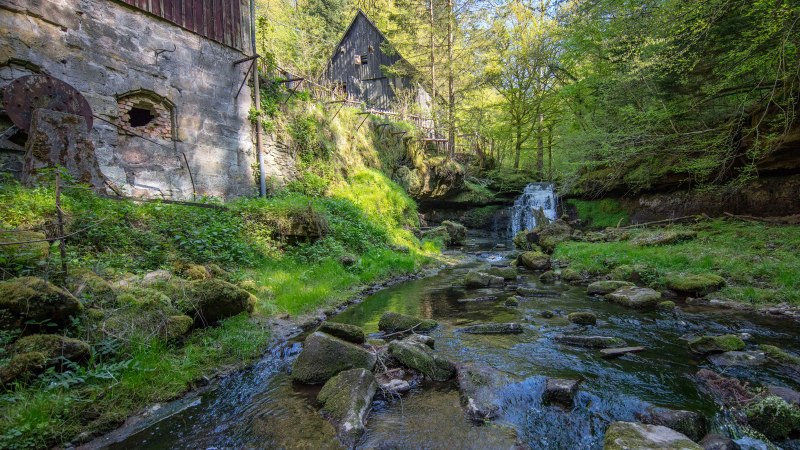 Eine alte M&uuml;hle im Wald, umgeben von &uuml;ppigem Gr&uuml;n. Ein Bach flie&szlig;t vorbei, mit einem kleinen Wasserfall im Hintergrund., &copy; SMG, Achim Mende