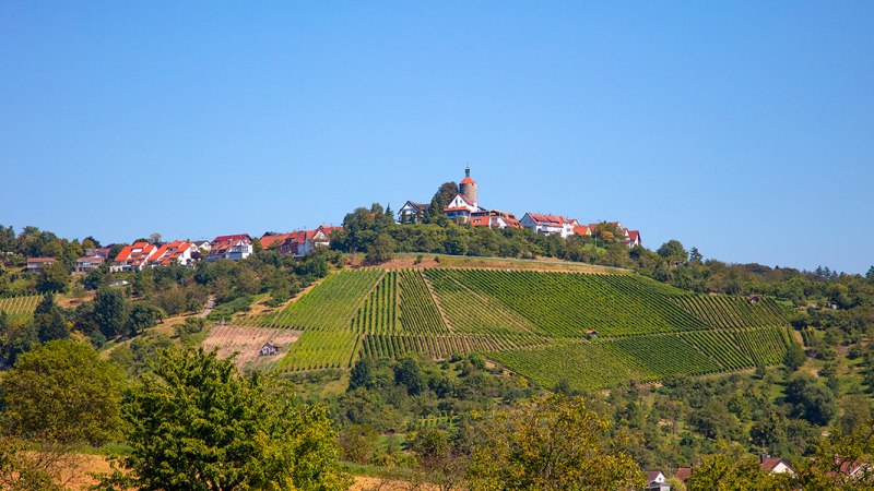 Weinberge erstrecken sich über einen Hügel, auf dem sich das Burgrestaurant "Schöne Aussicht" in Winnenden befindet. Der Himmel ist klar und blau., © Achim Mende Weinberge erstrecken sich über einen Hügel, auf dem sich das Burgrestaurant "Schöne Aussicht" in Winnenden befindet. Der Himmel ist klar und blau., © Achim Mende