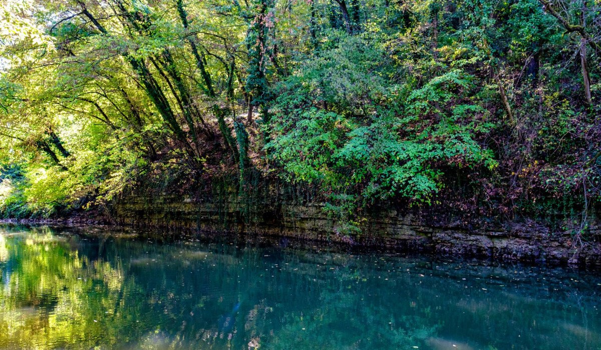 Ein ruhiger Fluss mit üppigem, grünem Laub an den Ufern, das sich im klaren Wasser spiegelt. Die Szene wirkt friedlich und naturbelassen., © WTM GmbH Waiblingen Ein ruhiger Fluss mit üppigem, grünem Laub an den Ufern, das sich im klaren Wasser spiegelt. Die Szene wirkt friedlich und naturbelassen., © WTM GmbH Waiblingen