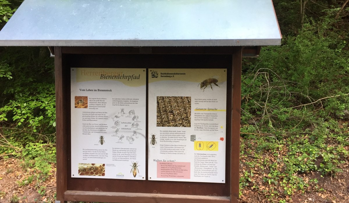 Ein Informationsschild am Bienenlehrpfad im Wald erklärt das Leben im Bienenstock. Es enthält Texte und Bilder über Bienen und ihre Kommunikation., © www.pro-cycl.de Ein Informationsschild am Bienenlehrpfad im Wald erklärt das Leben im Bienenstock. Es enthält Texte und Bilder über Bienen und ihre Kommunikation., © www.pro-cycl.de