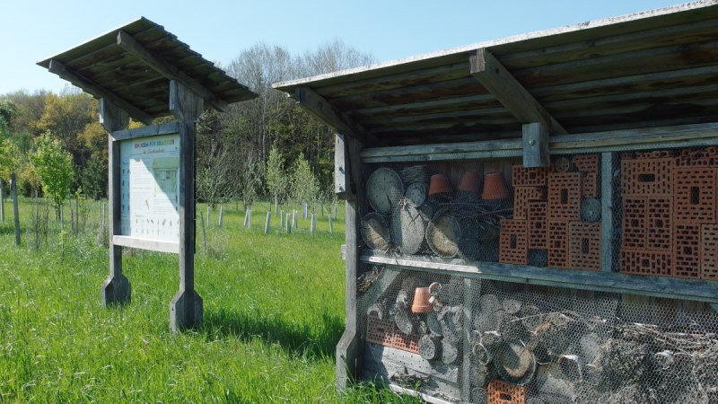 Ein Insektenhotel und eine Infotafel stehen auf einer grünen Wiese im Arboretum Bondorf. Im Hintergrund sind Bäume zu sehen., © Natur.Nah. Schönbuch & Heckengäu Ein Insektenhotel und eine Infotafel stehen auf einer grünen Wiese im Arboretum Bondorf. Im Hintergrund sind Bäume zu sehen., © Natur.Nah. Schönbuch & Heckengäu