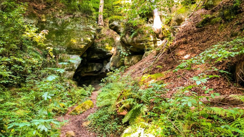 Ein Waldpfad führt zu einer Felsformation mit Höhle, umgeben von dichtem Grün und Farnen., © agentur arcos/Niki Eilers Ein Waldpfad führt zu einer Felsformation mit Höhle, umgeben von dichtem Grün und Farnen., © agentur arcos/Niki Eilers