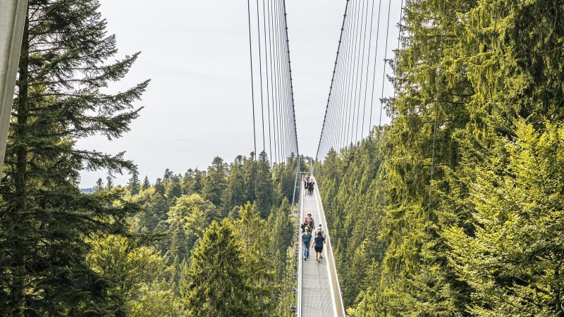 Die WILDLINE Hängebrücke spannt sich über einen Wald, mit Menschen, die darauf spazieren gehen. Umgeben von hohen Bäumen und grünem Laub., © Stuttgart-Marketing GmbH, Sarah Schmid