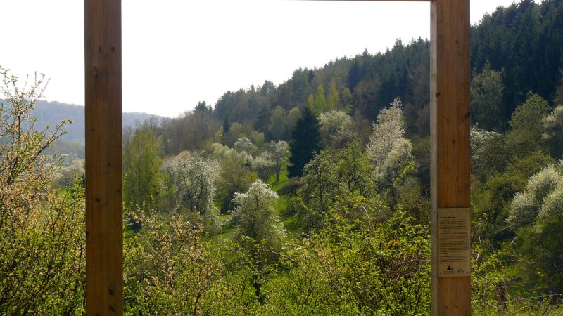 Ein Holzrahmen steht vor einer grünen, bewaldeten Landschaft am Venusberg. Blühende Bäume und Hügel sind im Hintergrund sichtbar., © Natur.Nah. Schönbuch & Heckengäu Ein Holzrahmen steht vor einer grünen, bewaldeten Landschaft am Venusberg. Blühende Bäume und Hügel sind im Hintergrund sichtbar., © Natur.Nah. Schönbuch & Heckengäu