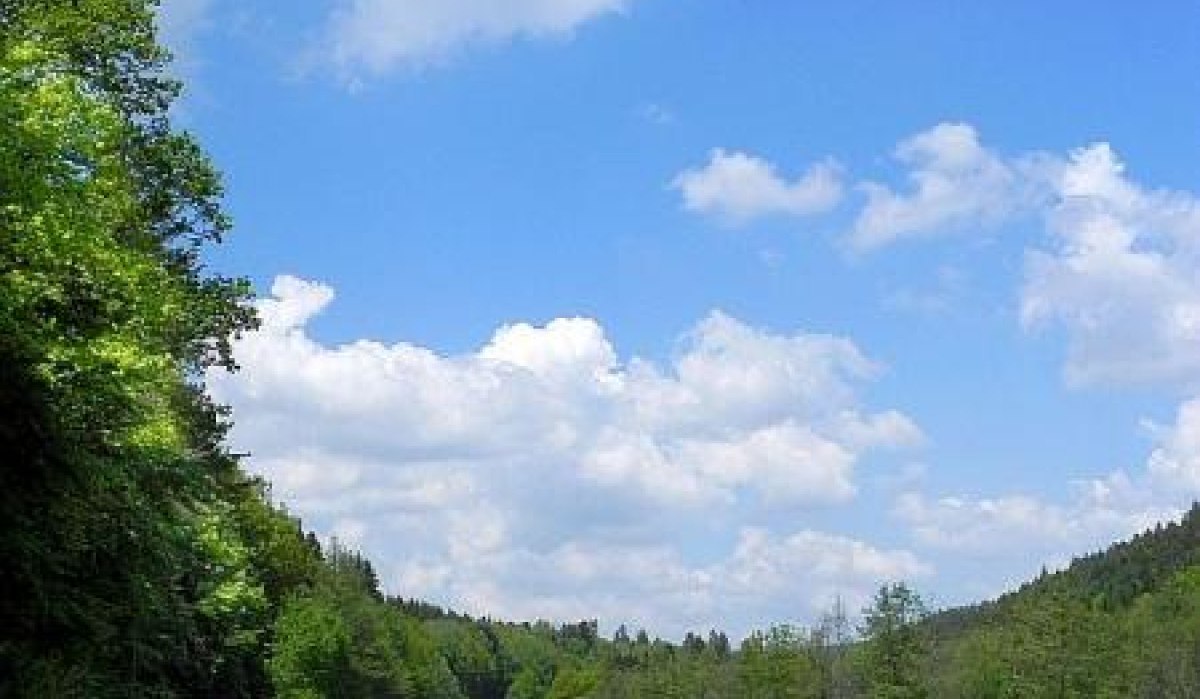 Ein Radfahrer auf einem schmalen Weg durch eine grüne Landschaft mit Wiesen und Bäumen unter einem blauen Himmel mit weißen Wolken., © Natur.Nah. Schönbuch & Heckengäu Ein Radfahrer auf einem schmalen Weg durch eine grüne Landschaft mit Wiesen und Bäumen unter einem blauen Himmel mit weißen Wolken., © Natur.Nah. Schönbuch & Heckengäu