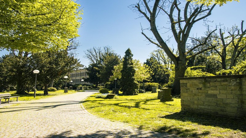 Ein sonniger Park mit grünen Bäumen, Bänken und einem gepflasterten Weg. Im Hintergrund sind Gebäude und Laternen zu sehen., © SMG, Sarah Schmid